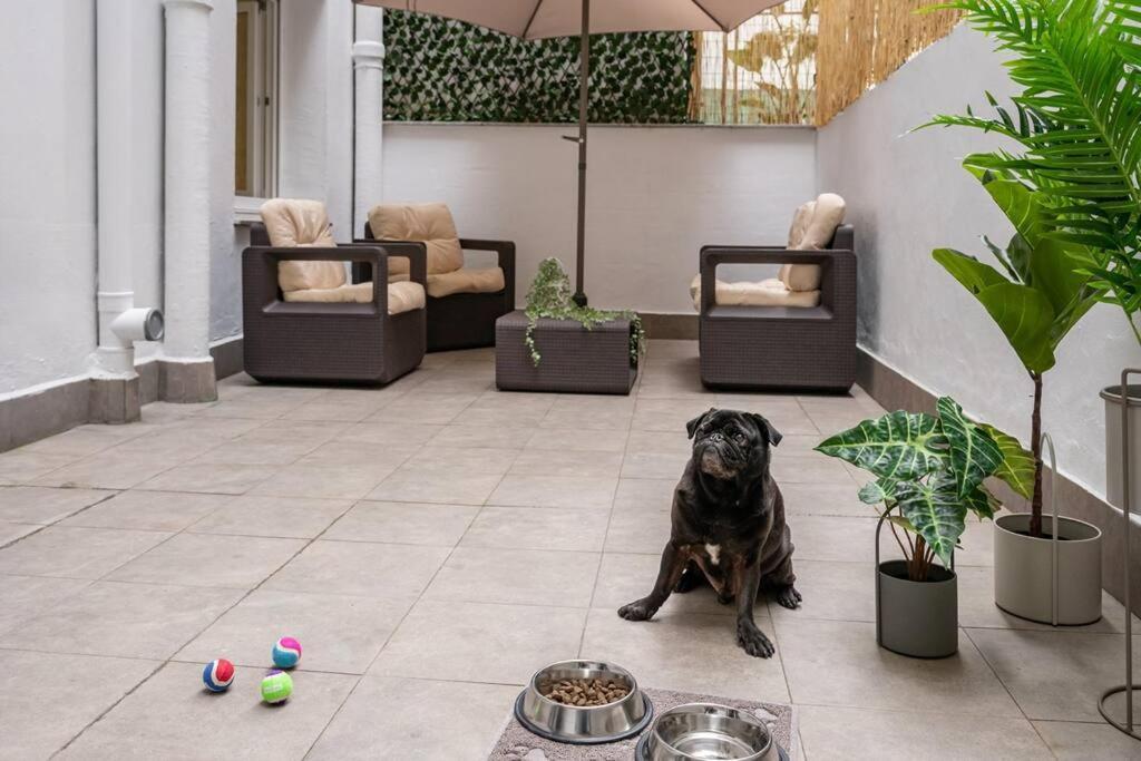 El Patio De Schulz Apartment Gijon Bagian luar foto