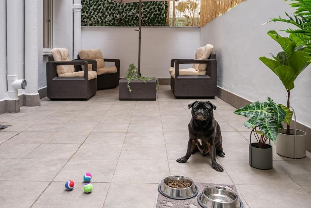 El Patio De Schulz Apartment Gijon Bagian luar foto